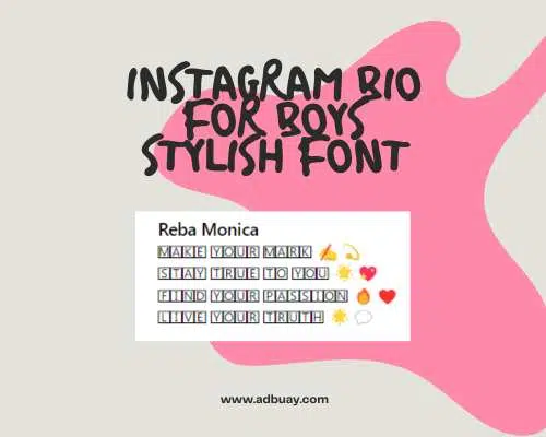 Instagram Bio For Boys Stylish Font​